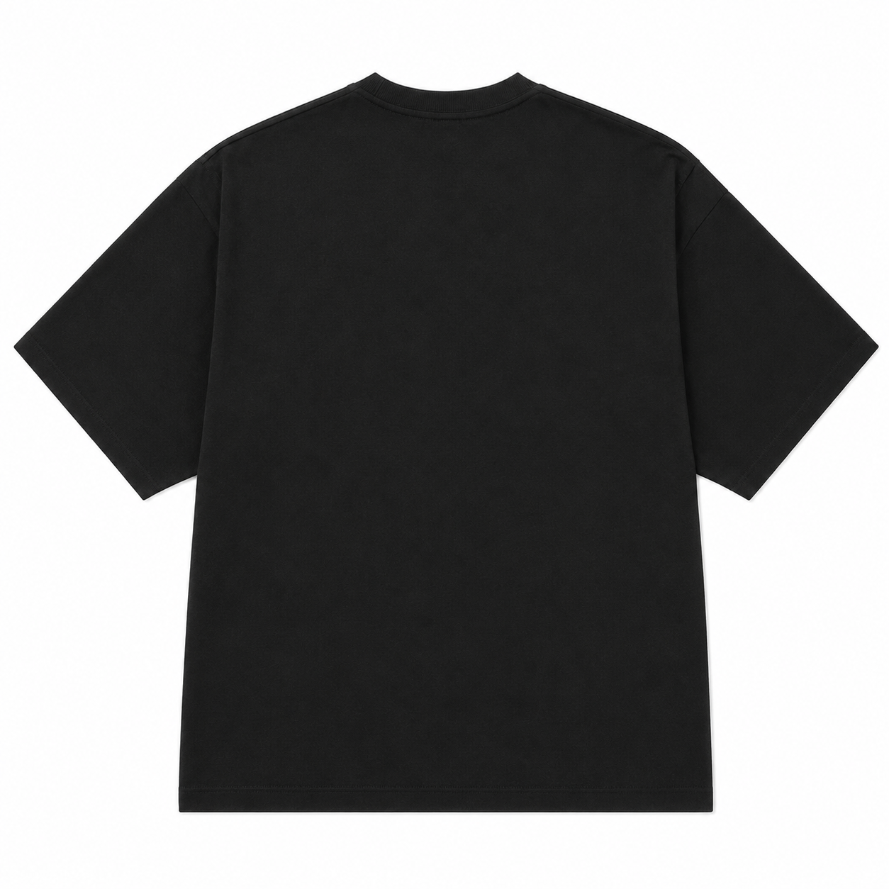 NANS Long-Staple Cotton Graphic Standard T-Shirt